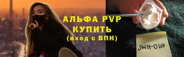 стаф Алзамай