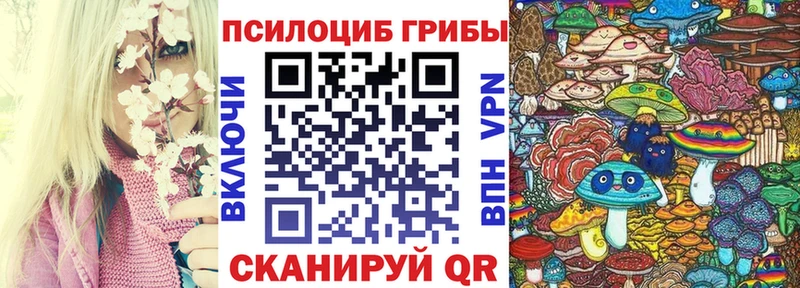 где можно купить   Оханск  Галлюциногенные грибы GOLDEN TEACHER 